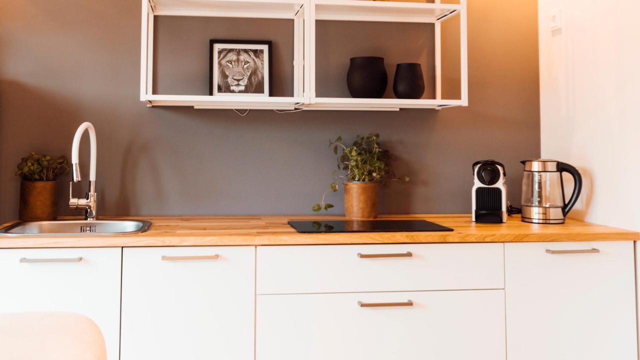 Stay At Smilla - Boutique Apartments Mit Kueche - Parken - Klima - Netflix - Waschmaschine Wiesbaden Dış mekan fotoğraf